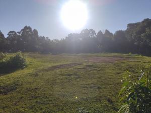 VENDA - TERRENO - BAIRRO UVARANAS - JARDIM CINTO VERDE