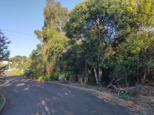 VENDA - TERRENO - BAIRRO UVARANAS - JARDIM CINTO VERDE