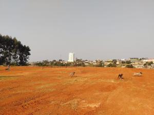 VENDA - tERRENO - BAIRRO BOA VISTA – VILA SENADOR FLÁVIO C. GUIMARÃES 