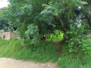 VENDA - TERRENO - BAIRRO ÓRFÃS - VILA LIANE 