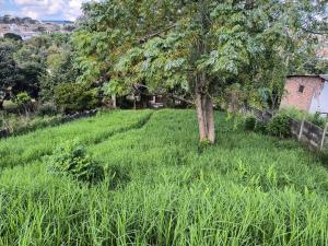 VENDA - TERRENO - BAIRRO ÓRFÃS - VILA LIANE 