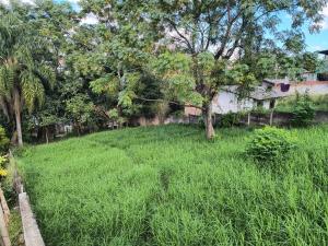 VENDA - TERRENO - BAIRRO ÓRFÃS - VILA LIANE 